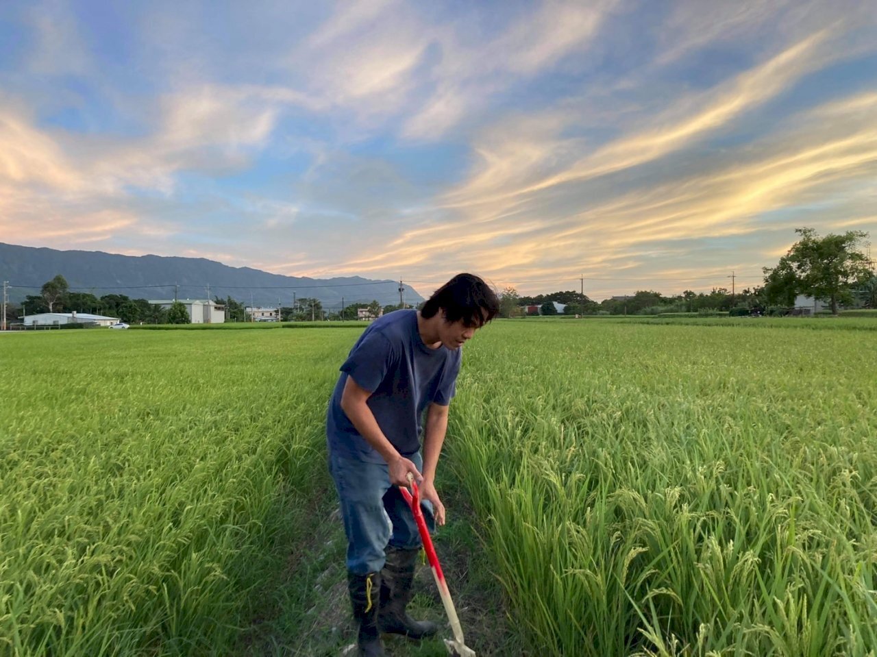 Wei Jui-ting, un agriculteur primé