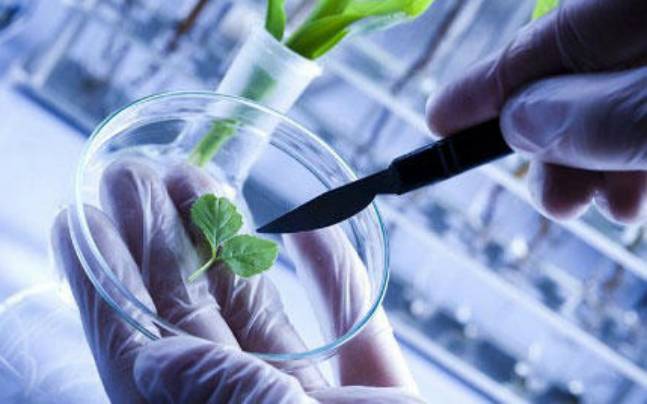 Des allègements fiscaux prolongés de 10 ans pour le secteur de la biotech