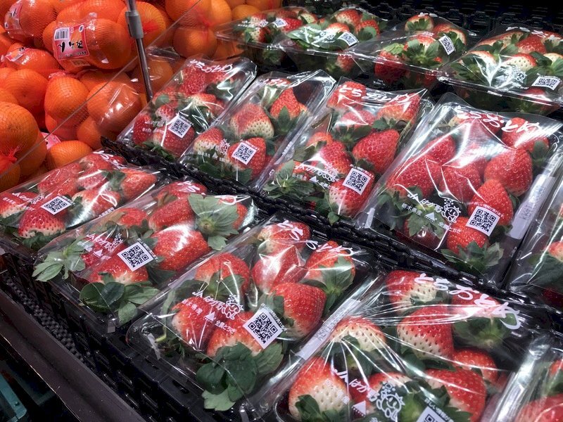 Produits alimentaires de Fukushima : 3 conditions pour l’autorisation d’importation à Taiwan