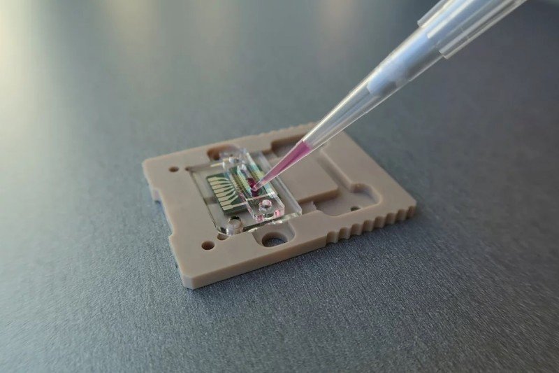 Une société taïwanaise développe un nouveau test rapide au Covid-19