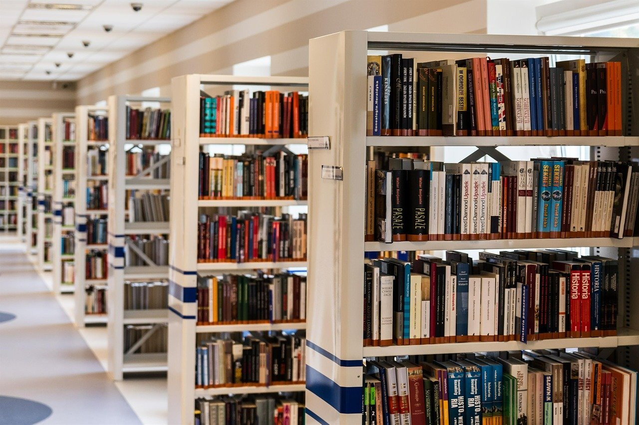 Les emprunts de livres électroniques dépassent pour la première fois les livres traditionnels