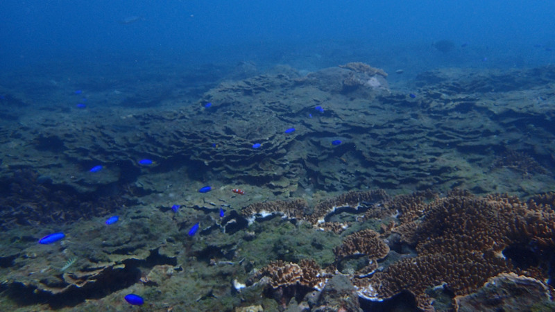 Zones de protection marine