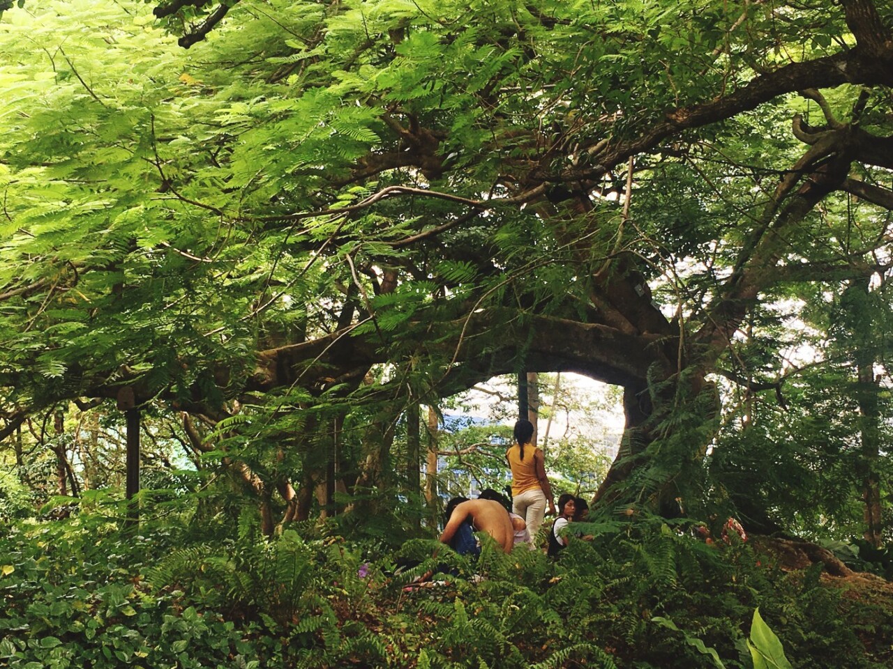 Le documentaire Ploy, du réalisateur thaïlandais Prapat Jiwarangsan s’intéresse au sort des travailleurs migrants d’Asie du Sud-Est à Singapour (Image : aimable crédit du Taiwan International Documentary Festival - TIDF)