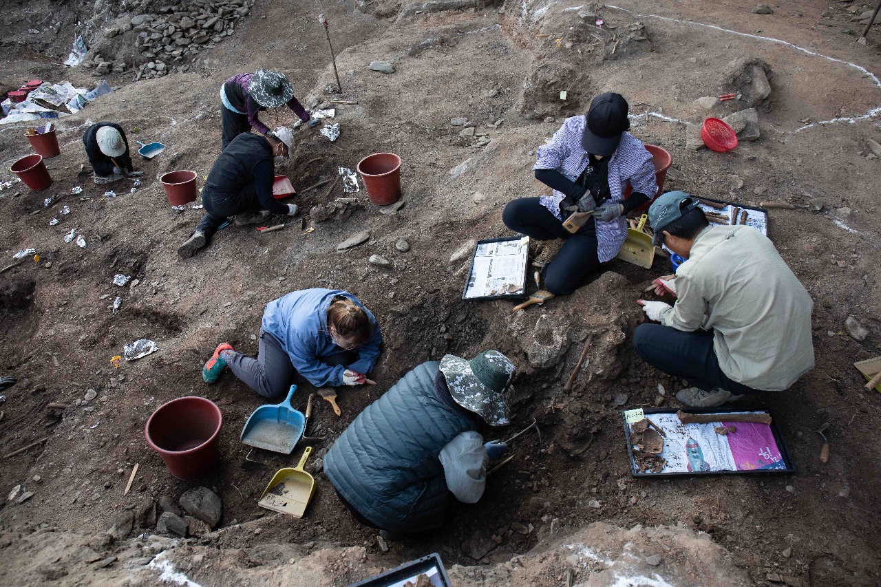 Justice transitionnelle en Corée du Sud à travers le documentaire “206: Unearthed”