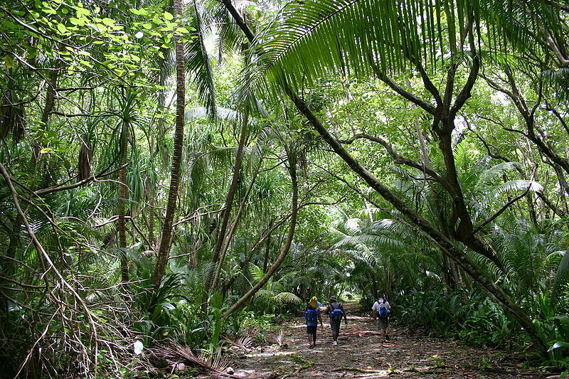 L'île Swain, aux Samoa américaines (Image :United States Coast Guard, Public domain, via Wikimedia Commons)