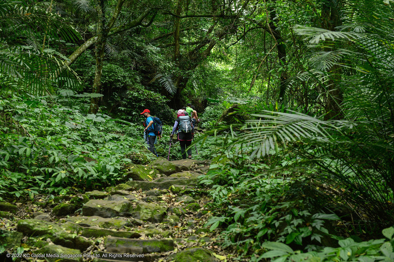 Un reportage sur AXN sur la trace du sentier des camphriers à Taïwan