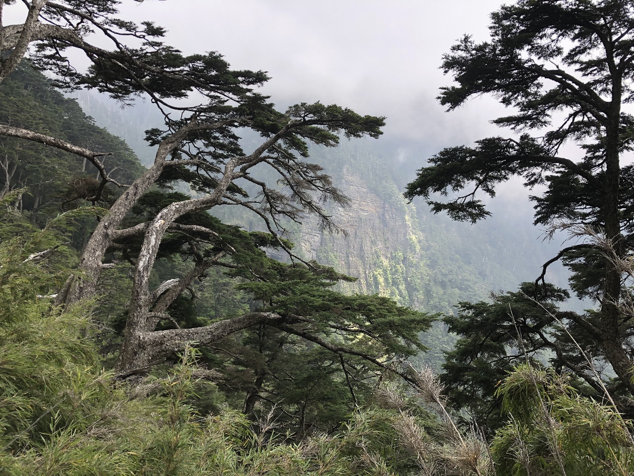 Mont de Jade (2/3), chiffre 5000, tir à l'arc traditionnel, le goût taïwanais