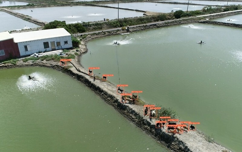 Tainan déploie des drones pour localiser les chiens errants
