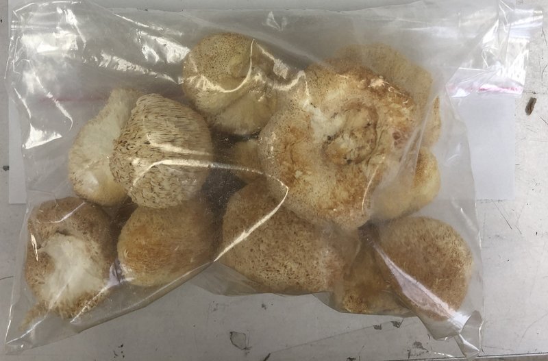 L’importation des hydnes hérissons chinois séchés suspendue pour un mois