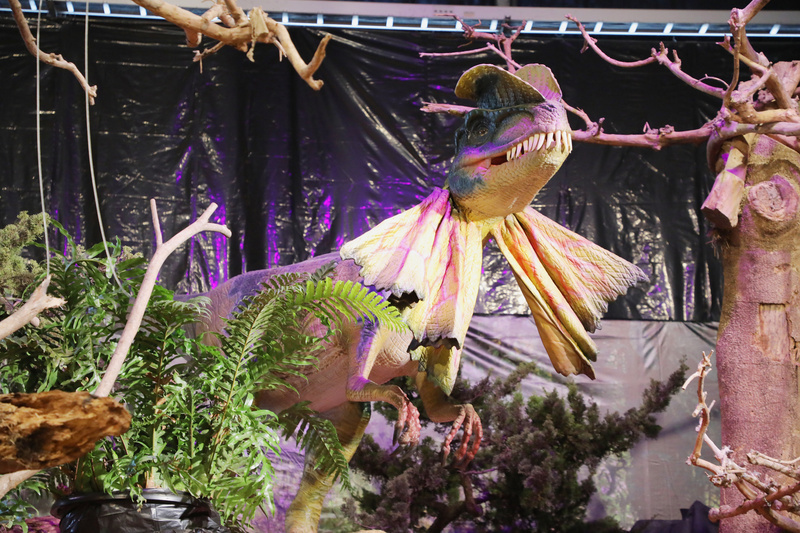 Inauguration du Salon international 2023 des orchidées de Taïwan
