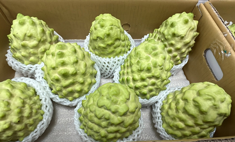 Le vice-chef de comté de Taitung en visite en Chine pour réclamer la reprise des exportation de fruits