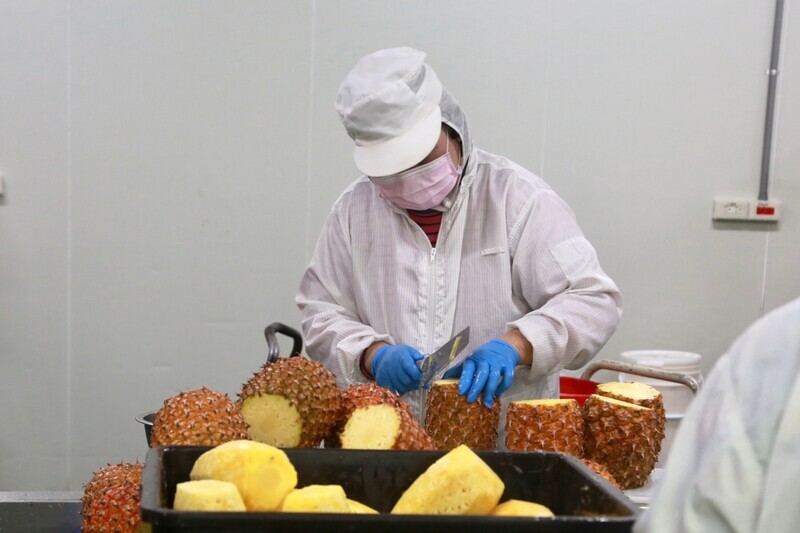 Fruits Taïwanais au Japon