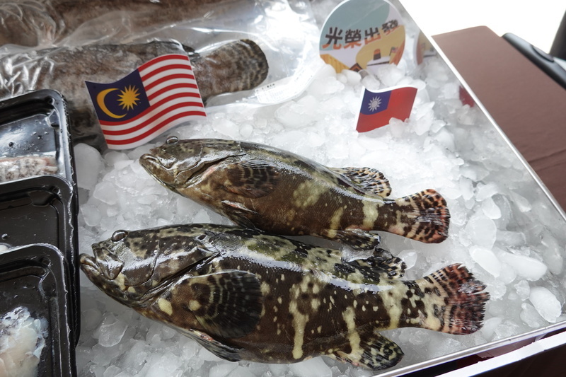 Pékin autorise sous conditions l’importation des mérous taïwanais