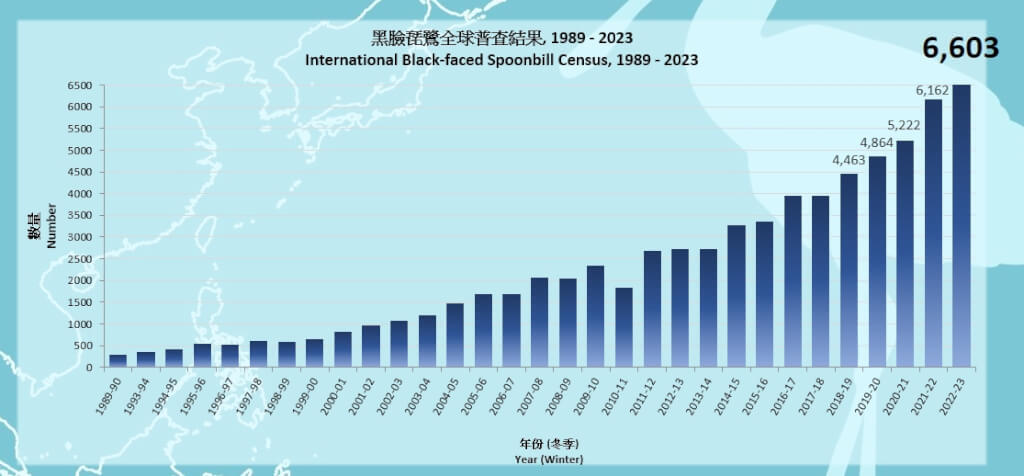 6603 spatules à tête noire recensées en 2023 (source site de la HKBWS))