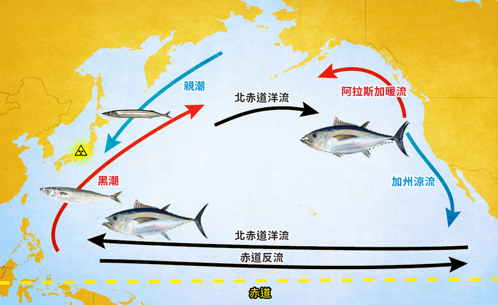 Le déversement des eaux usées de Fukushima inquiète les pêcheurs taïwanais