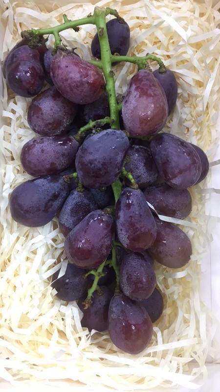 La culture du raisin à Taïwan et un vignoble, musée des raisins