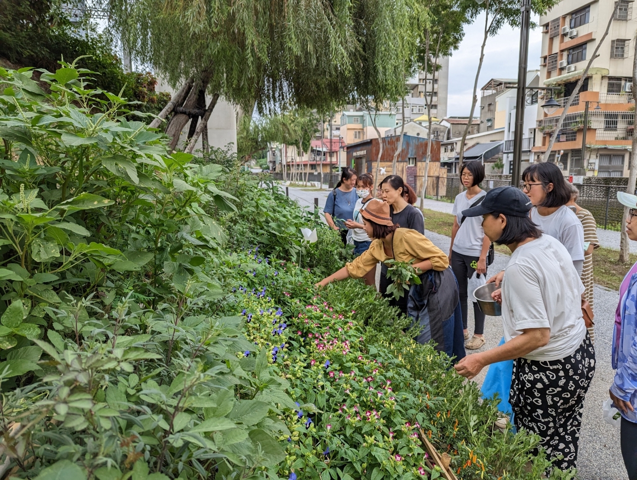 Le petit jardin comestible créé par Sally (chemise orange), Yujun et des volontaires, avec le soutien de la coopérative Gonghao, de l'agence de design Haoban et du Community College de Wuchuan à Taichung (photo 可食綠空小聚)