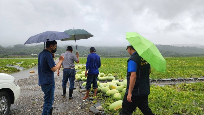 Les pertes agricoles provoquées par le typhon Doksuri dépassent la barre de 100 millions de dollars taïwanais