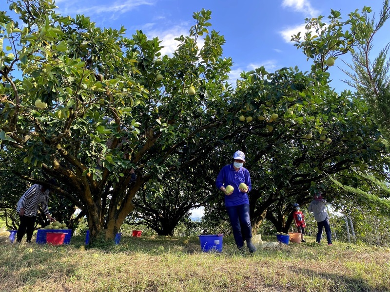Le parc Taipingshan ferme dès cet après-midi, avant le typhon