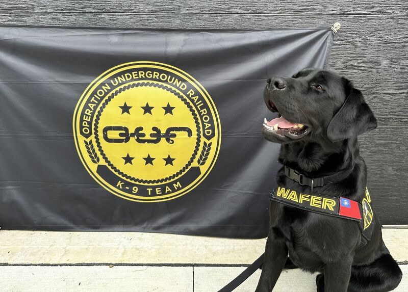Taïwan accueille son premier chien renifleur d’appareils électroniques