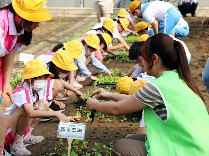 Quatre années d'éducation alimentaire et agricole au Collège Zhong Xiao