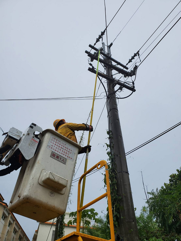 Le gouvernement approuve un projet d'enfouissement des câbles électriques sur l'île des Orchidées