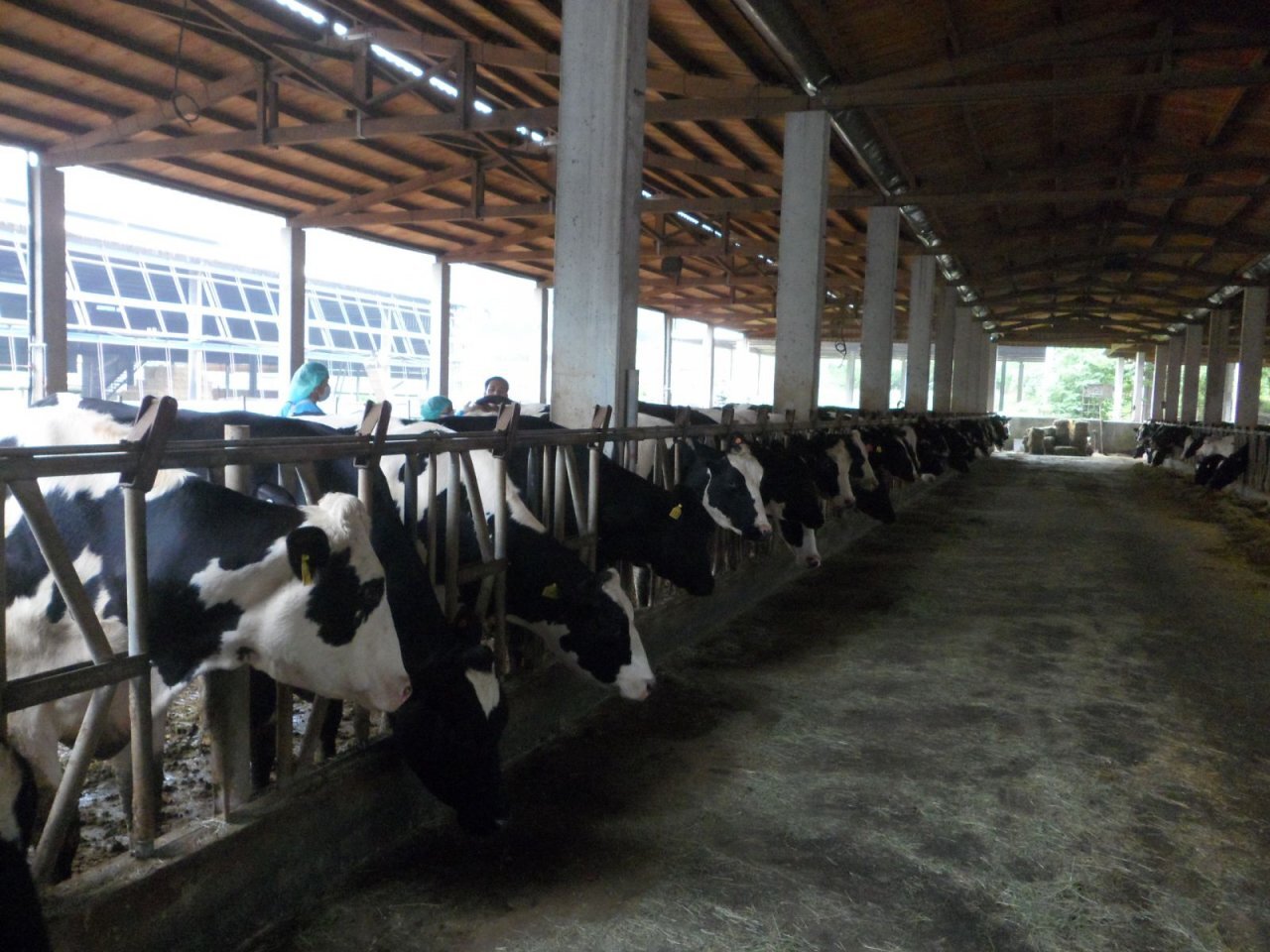 Le gouvernement cherche à renforcer la compétitivité du lait taïwanais