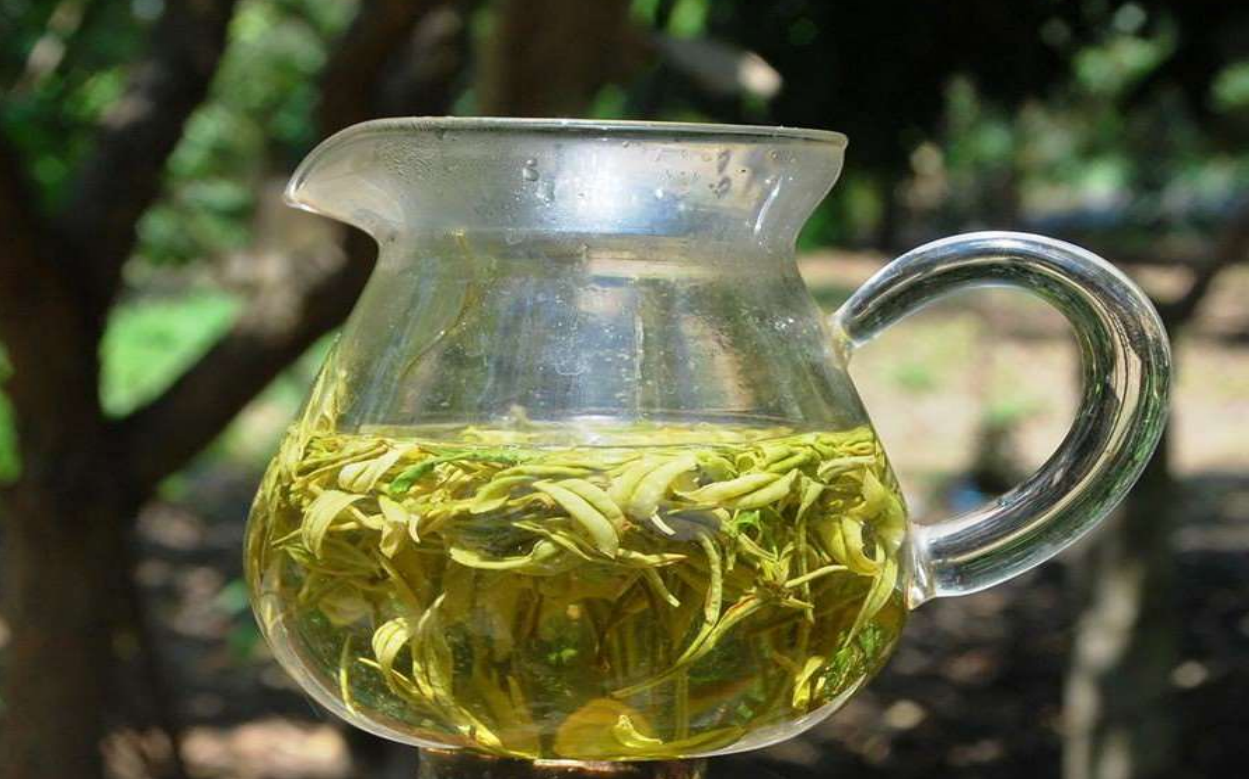 Infusion de thé vert (aimable crédit George van Driem)