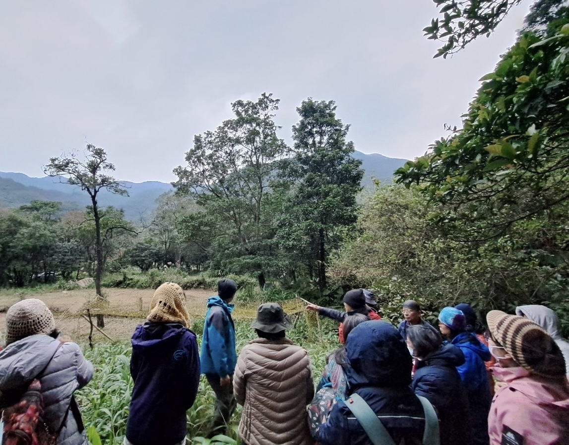 Des jachères aux forêts comestibles: un rêve en éclosion
