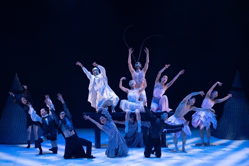 La compagnie taïwanaise B.DANCE en France pour le festival Tant qu’on danse