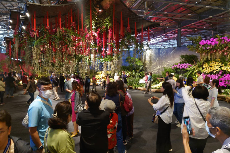 Tainan se transforme en capitale mondiale des Orchidées