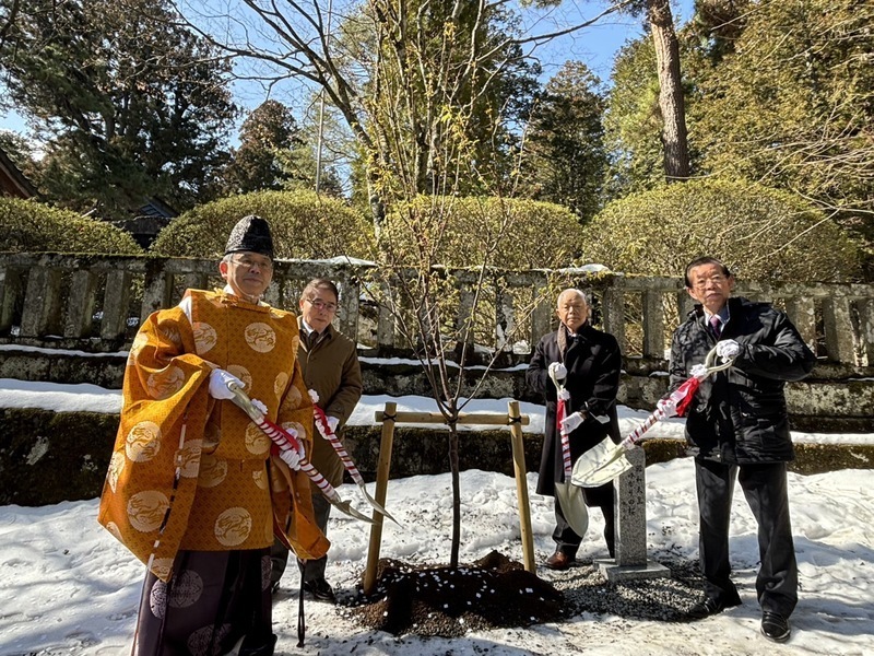 Retour partiel au Japon d’un cerisier planté à Taïwan par l’empereur nippon