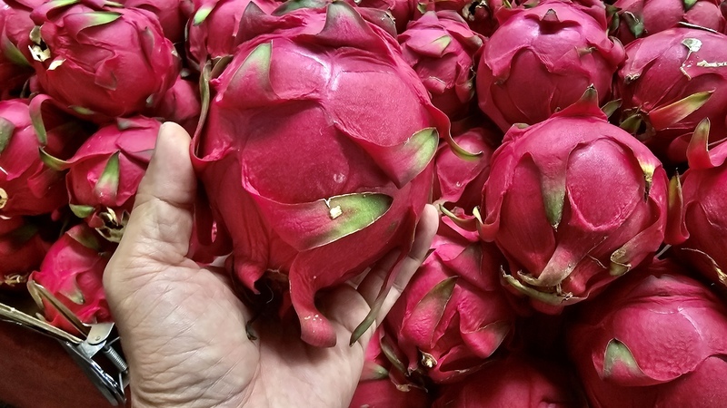 Le Japon ouvre ses portes aux fruits du dragon à chair rouge de Taïwan