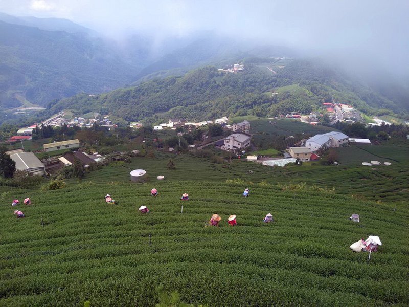 Le secteur agricole souhaite accueillir davantage d’ouvriers migrants