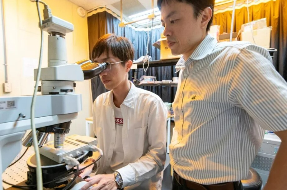 Une nouvelle technologie opoélectronique révolutionnaire pour les écrans et l'affichage