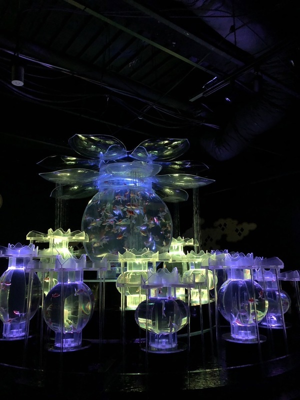 Une exposition japonaise à Taipei qui fait polémique pour les conditions de vie des poissons d'aquarium (Image : Taiwan SPCA)