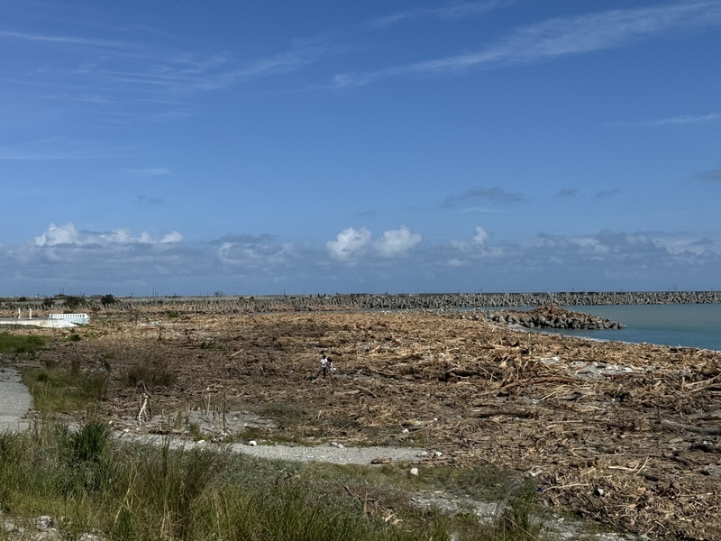 Coup d’envoi du ramassage à Taitung de bois déportés par les derniers typhons