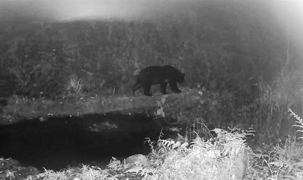 Un chasseur de la tribu Tsou récompensé par l’Etat pour sa contribution à la protection de l’ours formosan