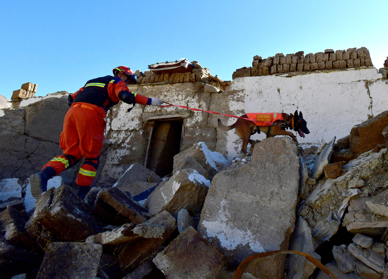 Recherches suite au tremblement de terre survenu au Tibet le 7 janvier 2025. Le bilan officiel est de 126 morts. (Image : Reuters)