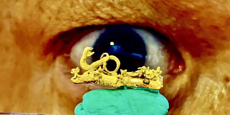 Sculpture du plus petit serpent doré au monde pour marquer la nouvelle année