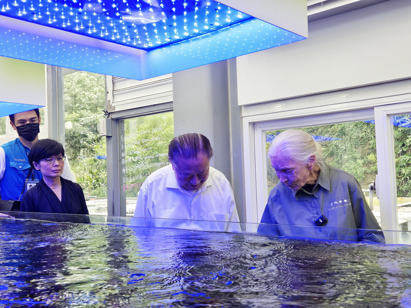 Le groupe DELTA coopère avec Jane Goodall pour la préservation des coraux